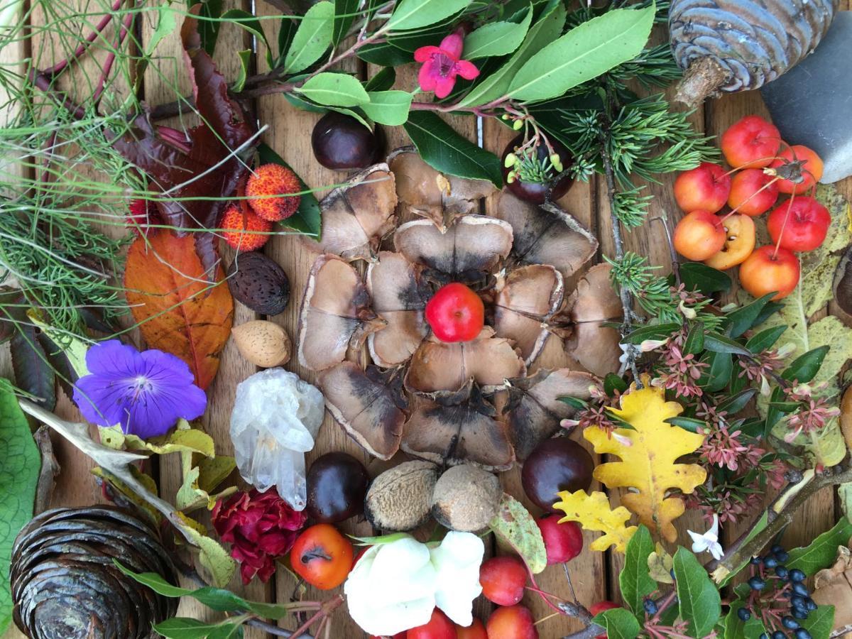 La Source, Vegetarian Guest House Chabeuil Exterior foto